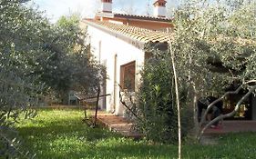 Villa Ambrosia