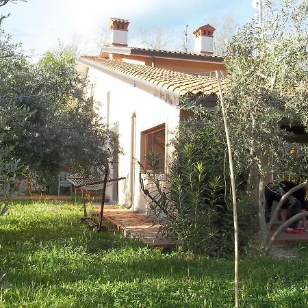 Villa Ambrosia Muggia Exterior foto