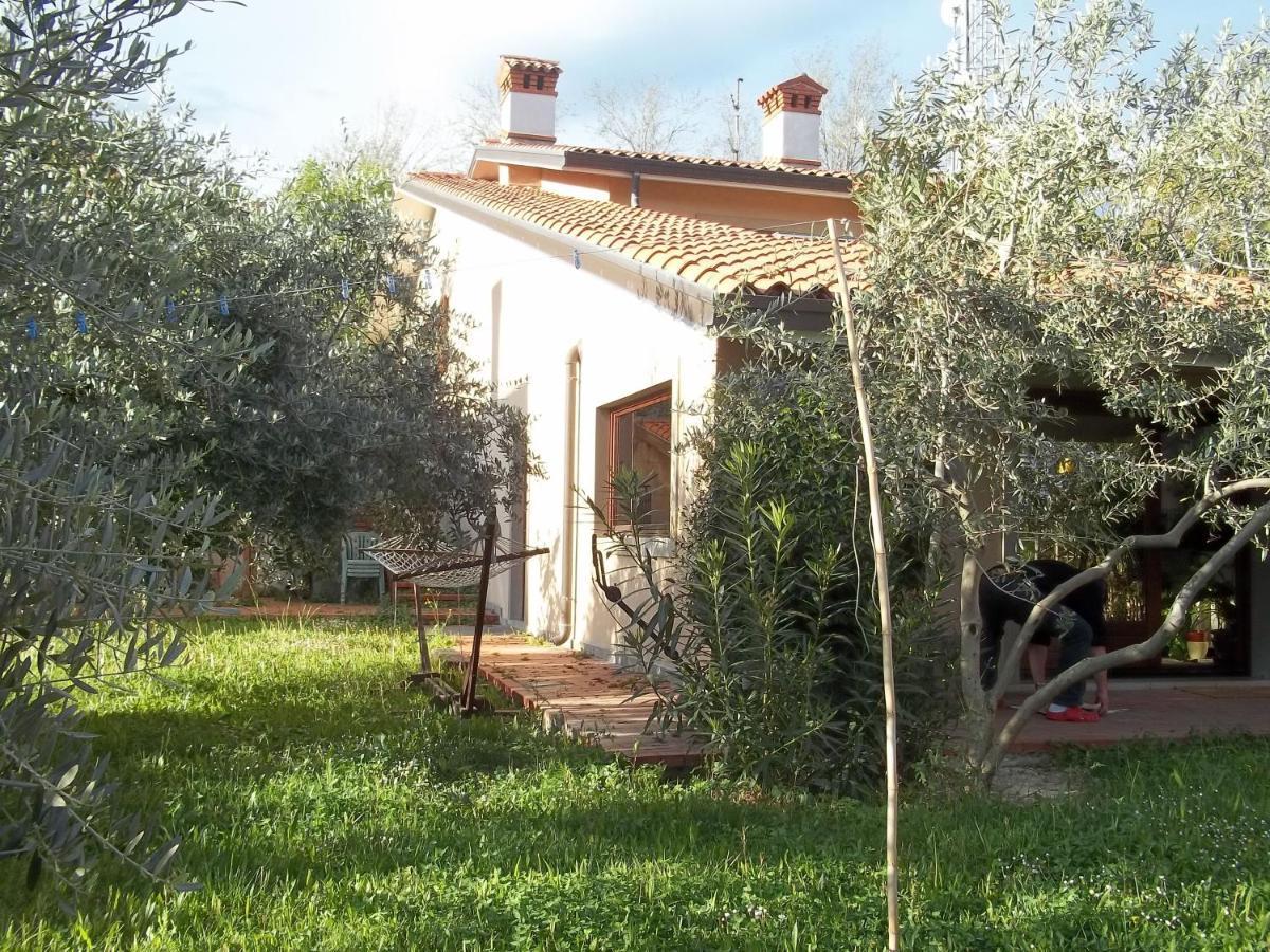 Villa Ambrosia Muggia Exterior foto
